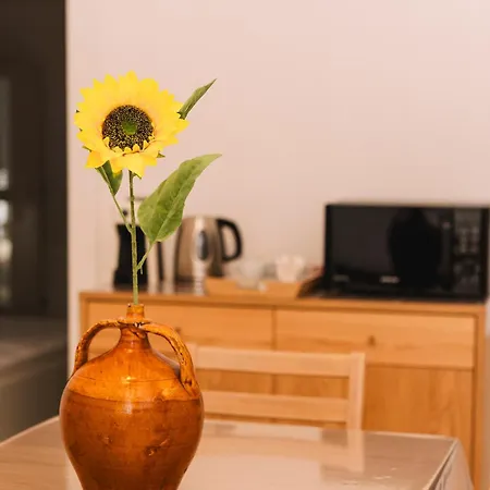 Appartement Casa Irene *